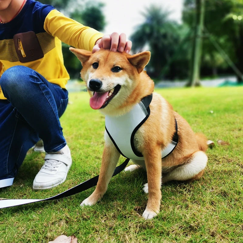 Dog Harness - Small - Image 4
